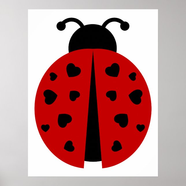 Poster ladybugz. (Devant)