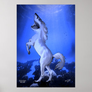Poster L'affiche de requin de cheval