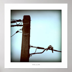 Poster L'affiche KISS