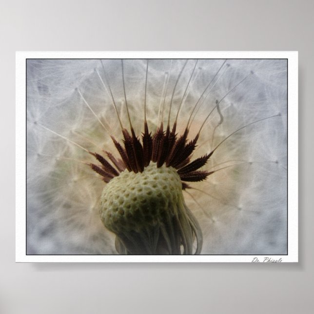 Poster Laissez-moi porter par la brise (Devant)