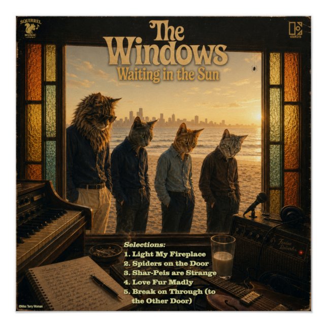 Poster L'album Windows : une parodie (Devant)