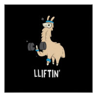 Lama dans la salle de gym - levage de poids