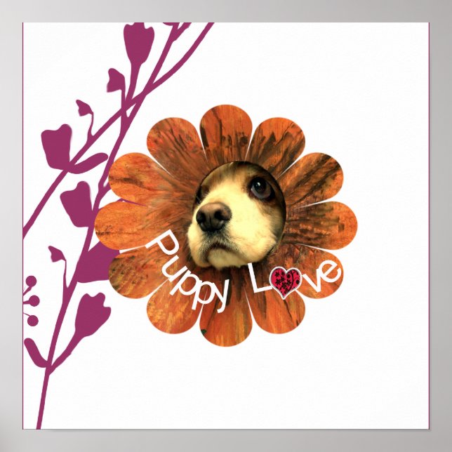 Poster L'amour des chiots (Devant)