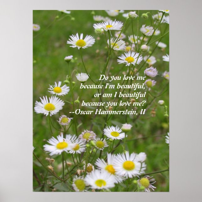 Poster L'amour est beau (Devant)