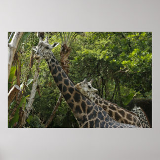 Poster L'Amour Est Dans L'Air