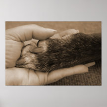 L'amour est inconditionnel