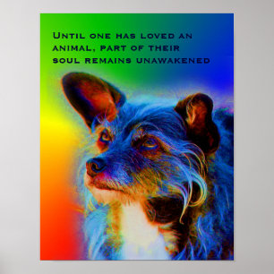 Poster L'Amour Pour Les Animaux Citer Inspirationnel