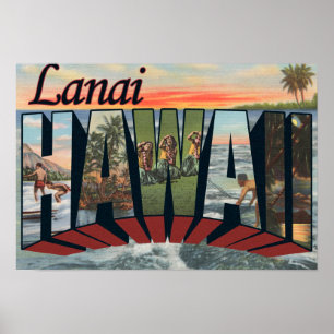 Poster Lanai, HawaiiGrandes ScènesLanai, HI