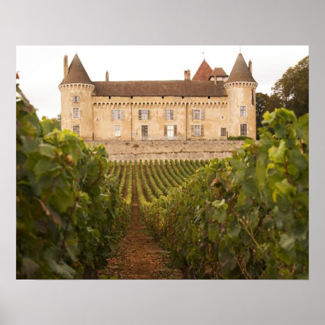 Poster L'ancien château médiéval de Rully dans la Cote (Devant)