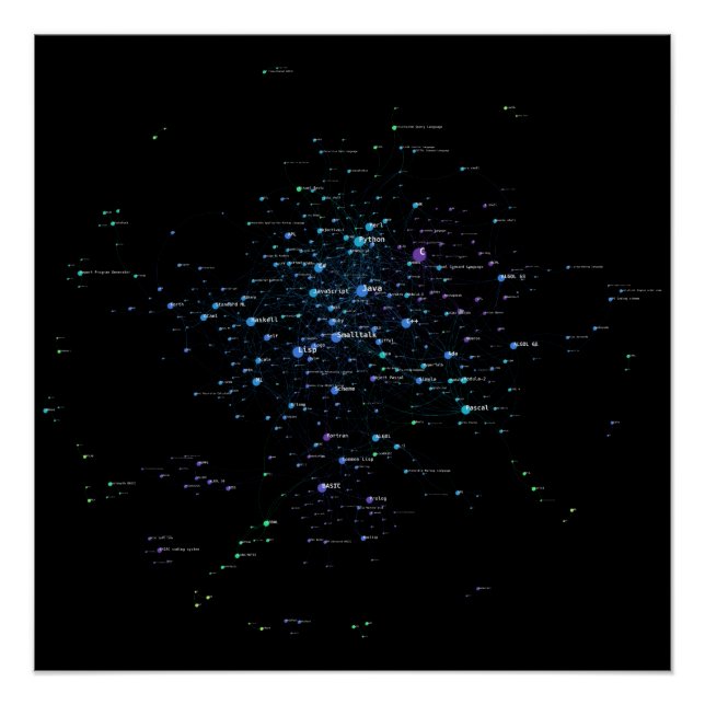 Poster Langues de programmation Influence Network 2020 (Devant)