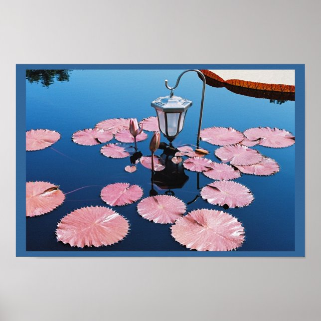 Poster Lanterne au-dessus des nymphes (Devant)