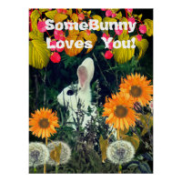 Lapin Lapin Animal Wildlife