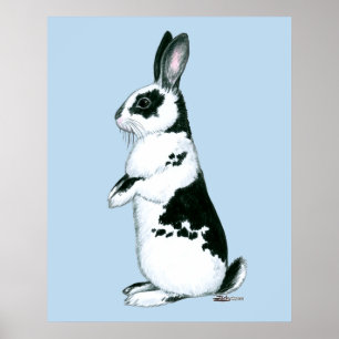 Poster Lapin : Noir et Blanc