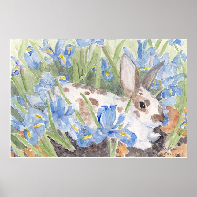 Poster Lapin tacheté en Irises hollandaises printanières (Devant)