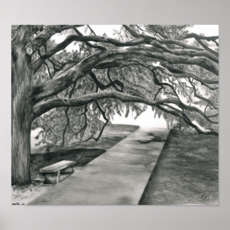 Poster L'arbre du siècle