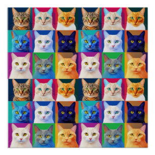 Poster l'arc-en-ciel des chats