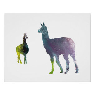 Poster L'art lama