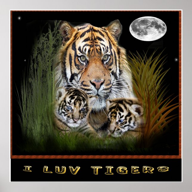 Poster L'art tigre (Devant)