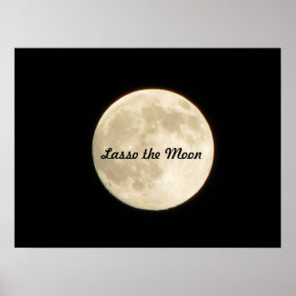 Poster Lasso the Moon