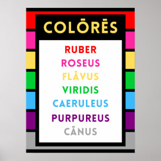 Poster Latin Colours - Cadeau Enseignant Latin