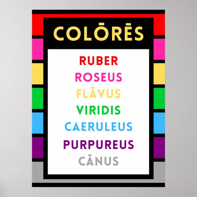 Poster Latin Colours - Cadeau Enseignant Latin (Devant)
