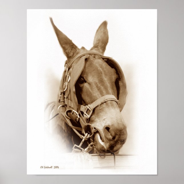 Poster L'attente de travailler (Devant)