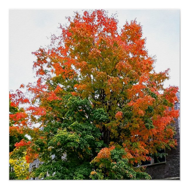 Poster L'AUTOMNE EST L'affiche PEINTURE DE DIEU (Devant)