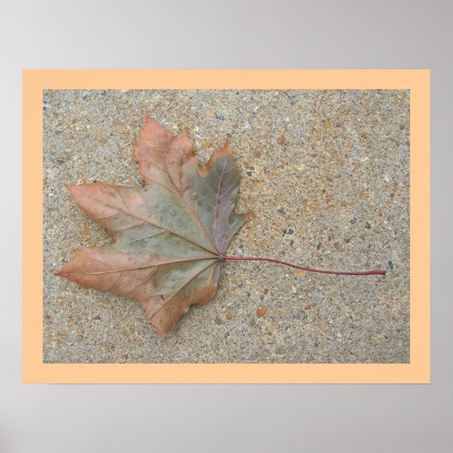 Poster L'automne sur le trottoir (Devant)