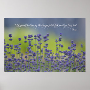 Poster Lavande avec la citation