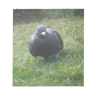 Poster le Bloc-notes Pigeon