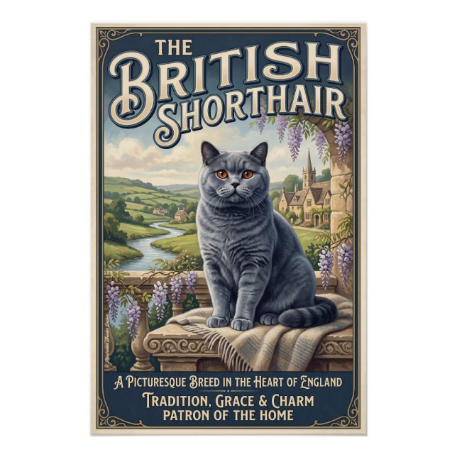 Poster Le British Shorthair  (Devant)
