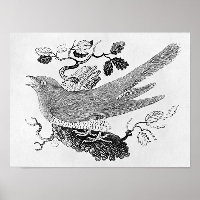 Poster Le cacao (Devant)