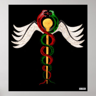 Poster Le Caduceus