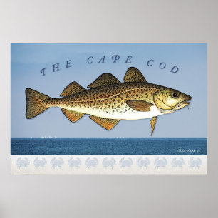 Poster Le Cape Cod