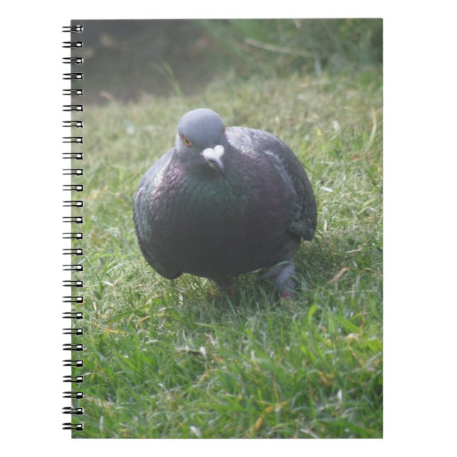 Poster le Carnet Pigeon (Devant)