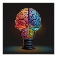 le cerveau idéal