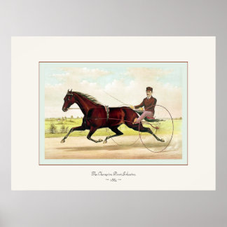 Poster Le champion Johnston ~ 1884