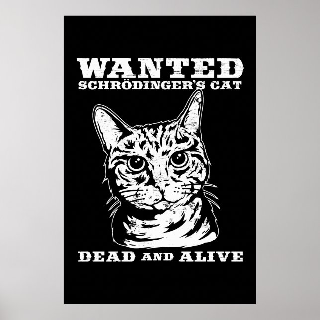 Poster Le chat de Schrodinger voulait mort ou vivant (Devant)