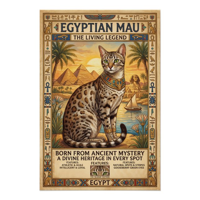 Poster Le Chat égyptien Mau (Devant)