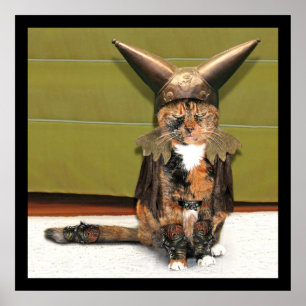 Poster Le chat nordique n'est pas amusé