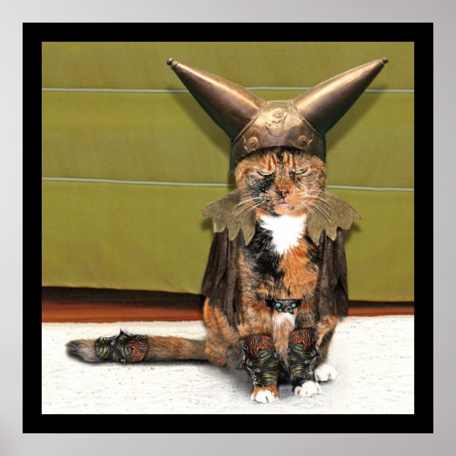 Poster Le chat nordique n'est pas amusé (Devant)