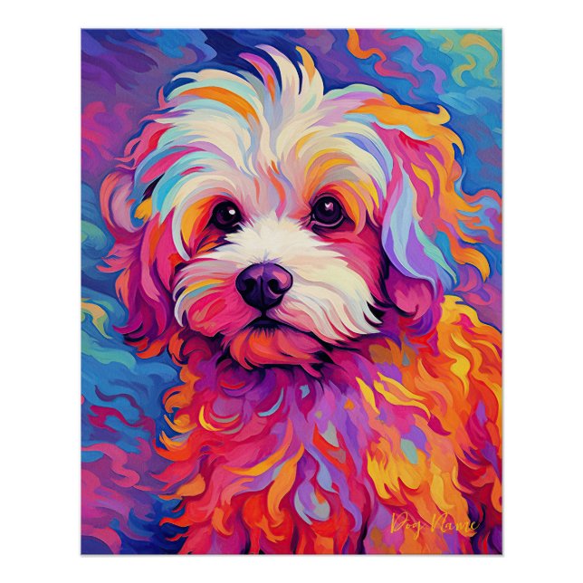 Poster Le Chien Maltais 001 - Zetton Ziana (Devant)