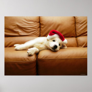 Poster Le chiot porte un casquette de Noël et le mensonge