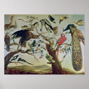 Poster Le concert des oiseaux