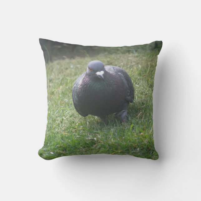 Poster le Coussin Pigeon (Recto)