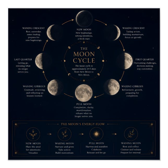 Poster Le cycle de la Lune et signification des phases (Devant)