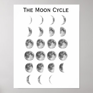 Poster Le cycle de lune