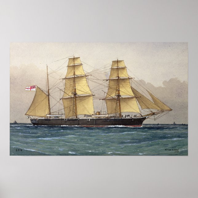 Poster Le cygne sauvage, 1906 (Devant)