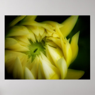 Poster Le déroulement