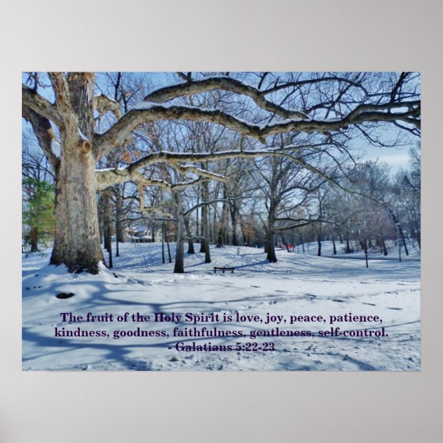 POSTER LE FRUIT DE L'ESPRIT (Devant)